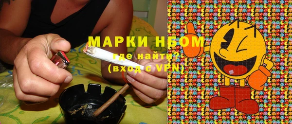 сатива Вязники