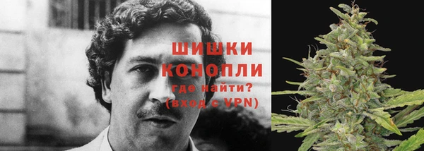 сатива Вязники