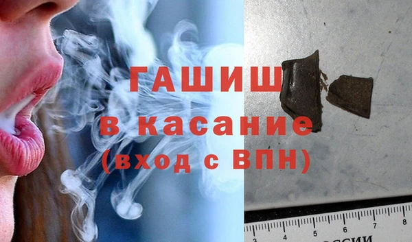 прущие грибы Вяземский