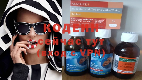 прущие грибы Вяземский