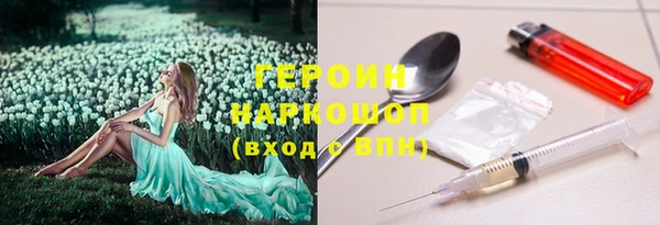прущие грибы Вяземский