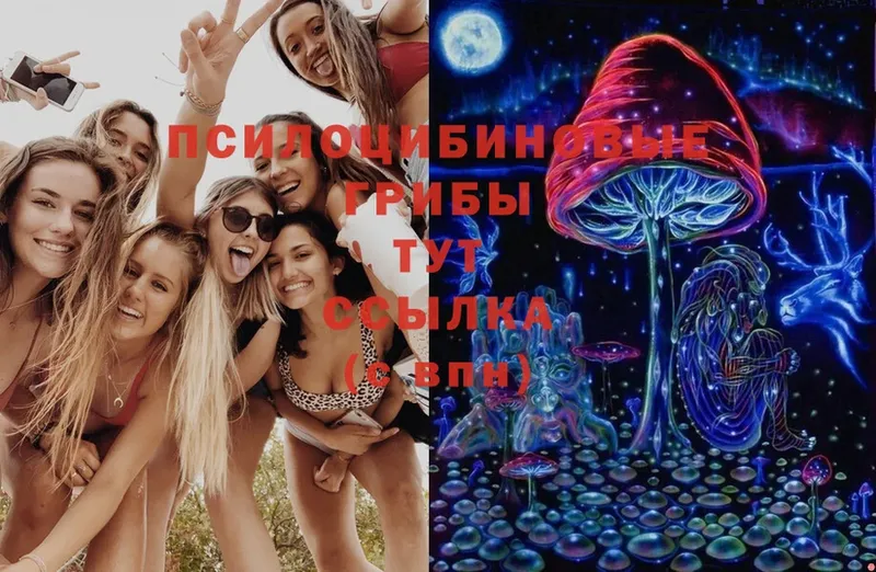 Галлюциногенные грибы Cubensis  Губкин 