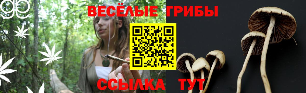 Псилоцибиновые грибы прущие грибы Губкин