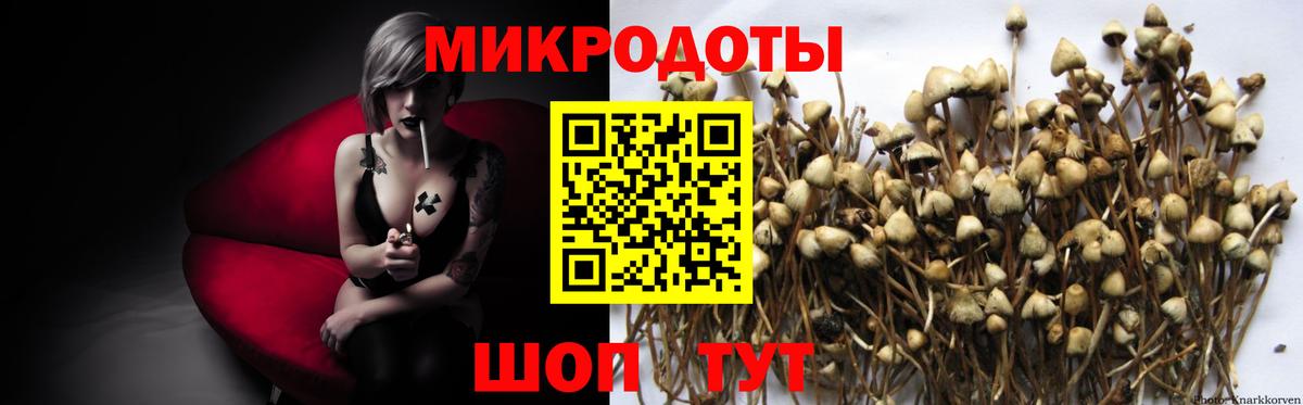 Псилоцибиновые грибы MAGIC MUSHROOMS Губкин